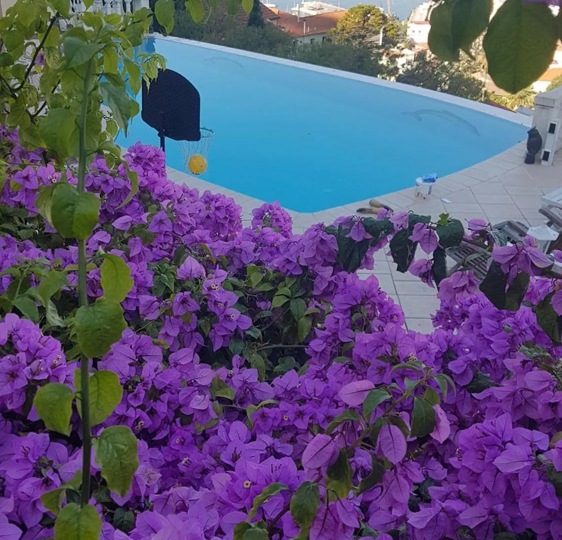 Roc Maria Lucia Villa Nice
